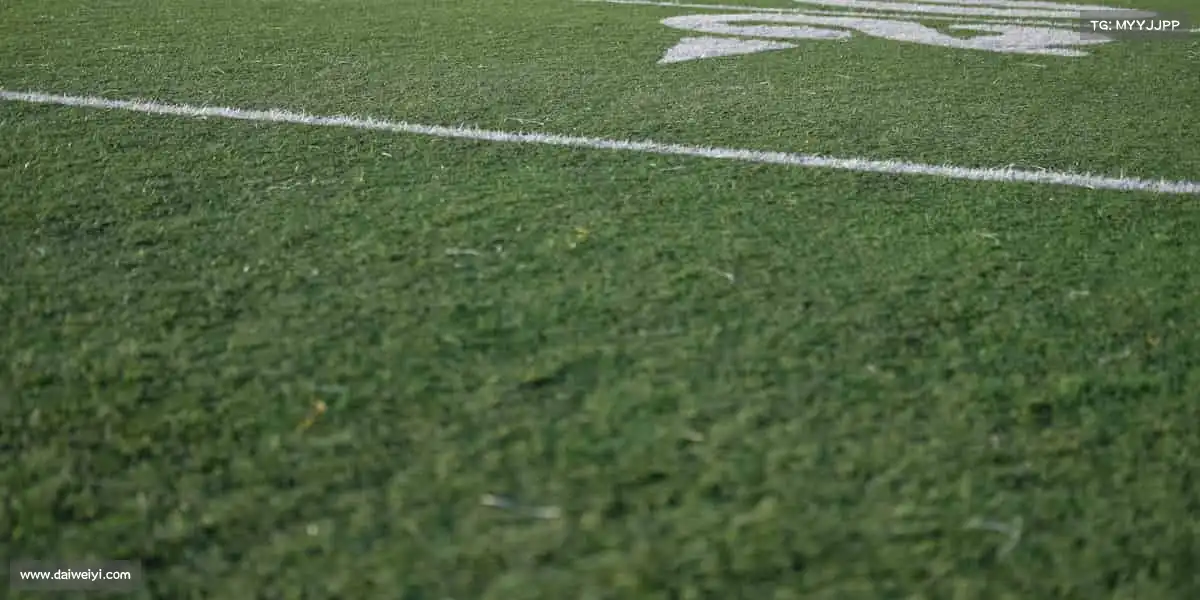 <strong>xcsport体育</strong>⚽团队协作，让每一次传球都成为胜利的起点！